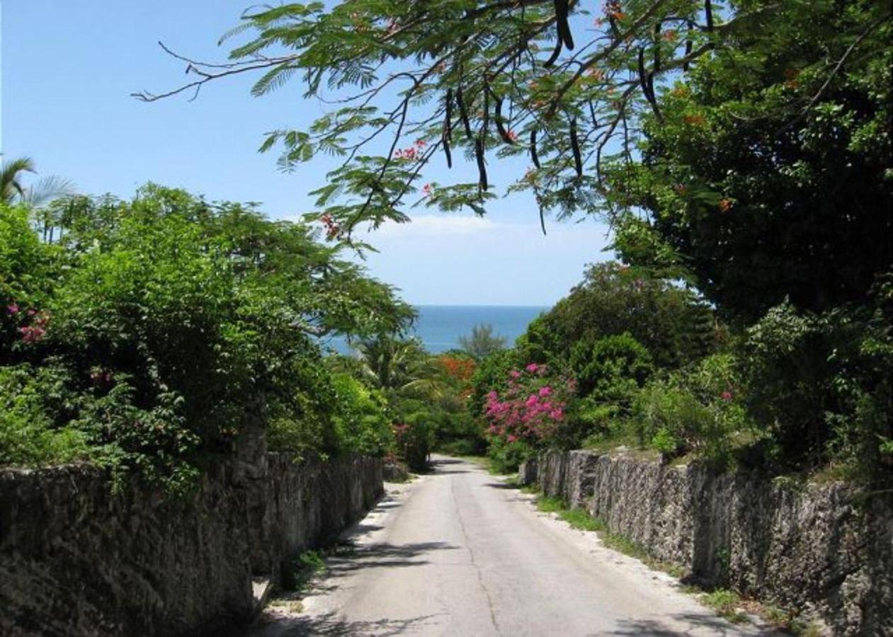 Buttonwood Reserve By Eleuthera Vacation Rentals Governor's Harbour Eksteriør billede